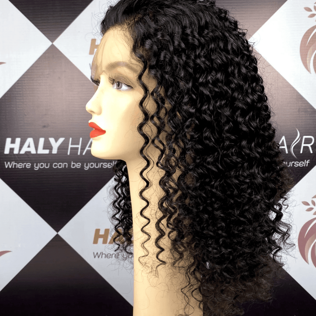 Black human hair wigs - HALY HAIR